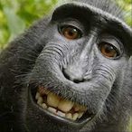 ChunkyMonkey123's Avatar'