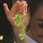 CilantroA100's Avatar