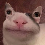 MaBrioche's Avatar'