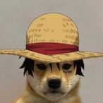 Ruffy._'s Avatar'