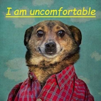 Cpt_Jolly_Roger's Avatar'