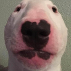 CheesySherb's Avatar'