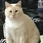 PrvCaboose's Avatar'