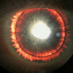 tjbrown1979's Avatar