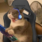 HolyDuck718's Avatar'