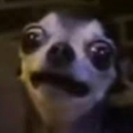 DarkCristall_LP's Avatar'
