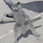 Learn2Cope's Avatar'