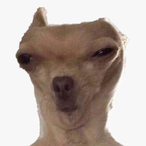 antadingus's Avatar'