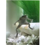 jackdellalover's Avatar'