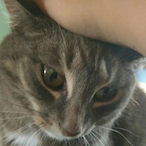 cqitlxn's Avatar'
