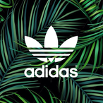 Thxtyz's Avatar'
