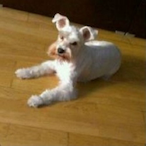 muxakalma_50's Avatar'