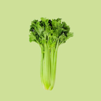 SilentViper_Xx's Avatar'