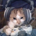 KoirezZ06's Avatar'