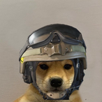 True_Fuze_Elite's Avatar'