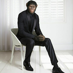 MacacoBurgues's Avatar'