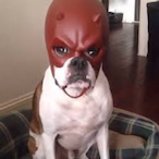 Dave2k01's Avatar'