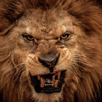 AldulaimiOG's Avatar'