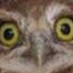 RaAlila's Avatar'