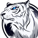 NikkiStorm2077's Avatar'