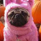 UwU MoonCakz's Avatar'