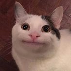 Holy_Moly67's Avatar'