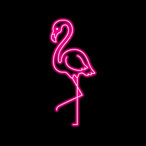 CJRXT's Avatar'