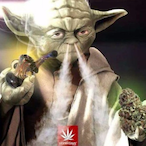 BigBauldo's Avatar'