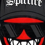 SWR-Tachelbarry's Avatar'