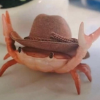 InquisiCrob's Avatar'