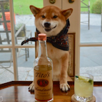 UwUItsDoge's Avatar'