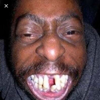 TheRussianKoala's Avatar'