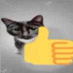 DamyCraft_'s Avatar'