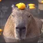 KJ is the DJ's Avatar'