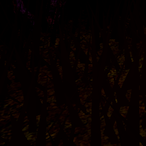 S00Geeked2's Avatar'