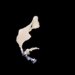 KingN0P0's Avatar'