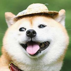 FurryBussey's Avatar'