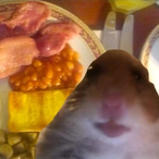 BR34KFA5T_ZTCH's Avatar'