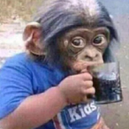 YouWantBannana's Avatar