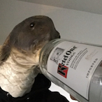 lilpickle6969's Avatar'