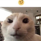 vvsmui's Avatar'