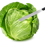 Cabbageslayer52's Avatar'