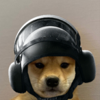 jalq.'s Avatar'