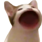 BIack_B1rd's Avatar'