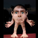 DatBoyJobo's Avatar'