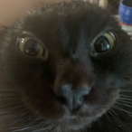 LGDragon05's Avatar'