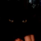 nutkrakir's Avatar'