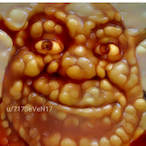 A-judd2's Avatar'
