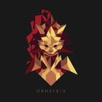 Oasicc's Avatar'