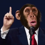 WiseMonke's Avatar